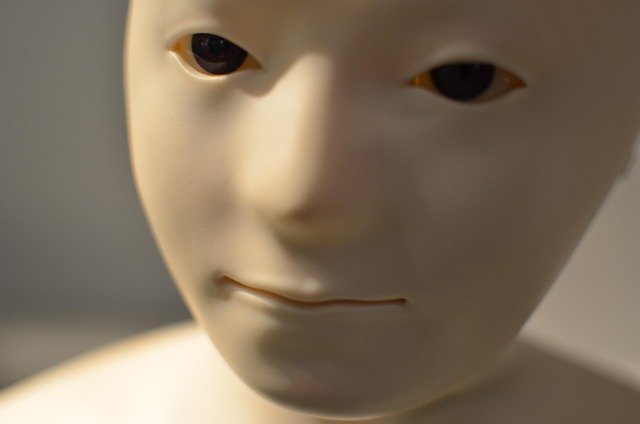 휴머노이드로봇