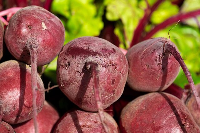 비트 건강 효능과 올바른 섭취법