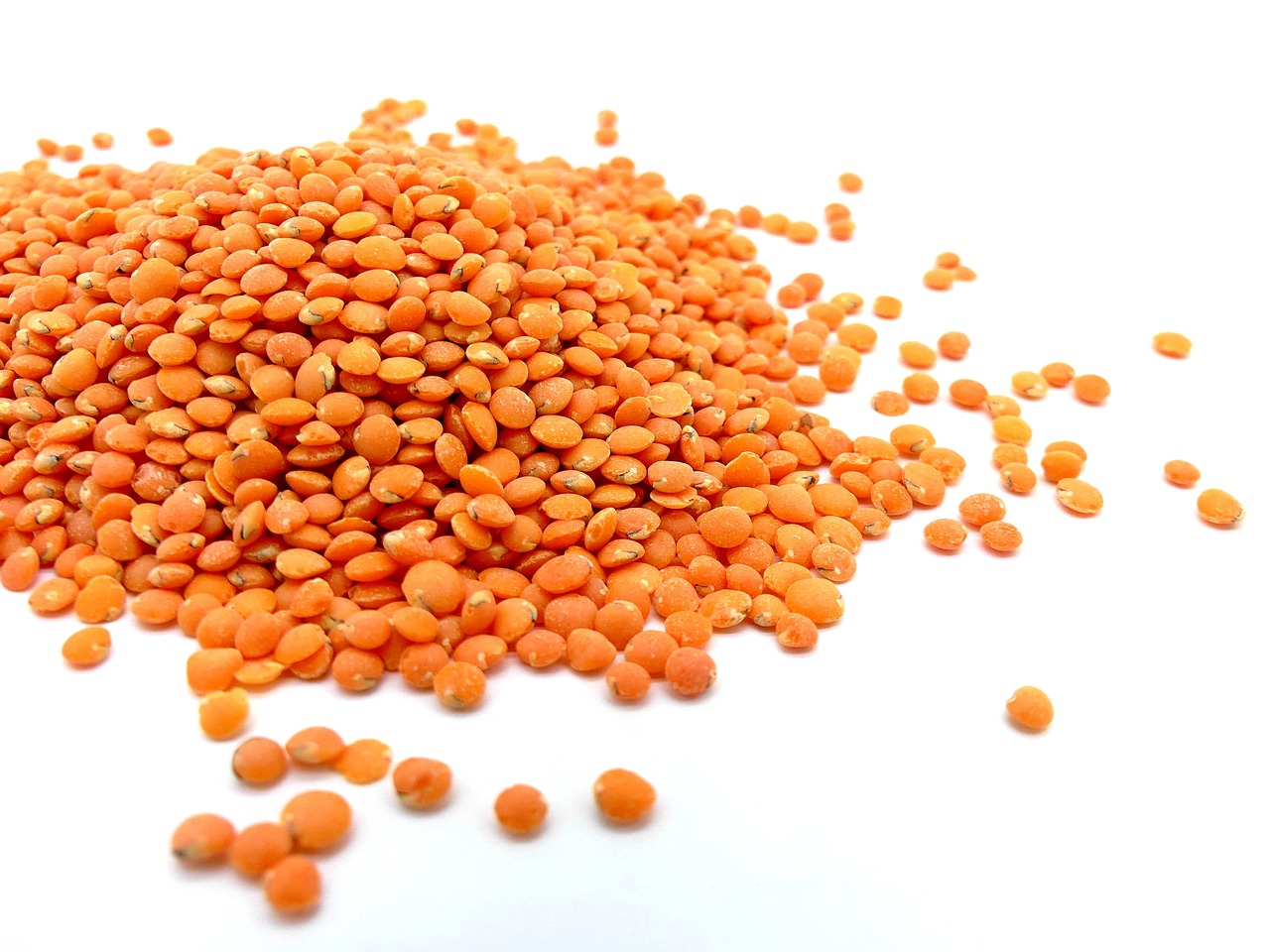 lentils food close up