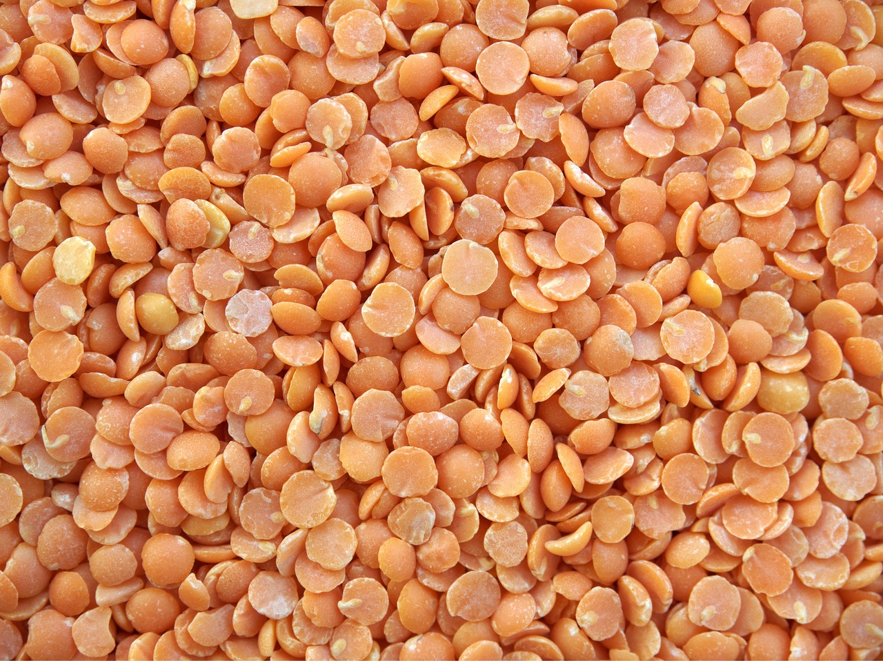 lentils cooking ingredien