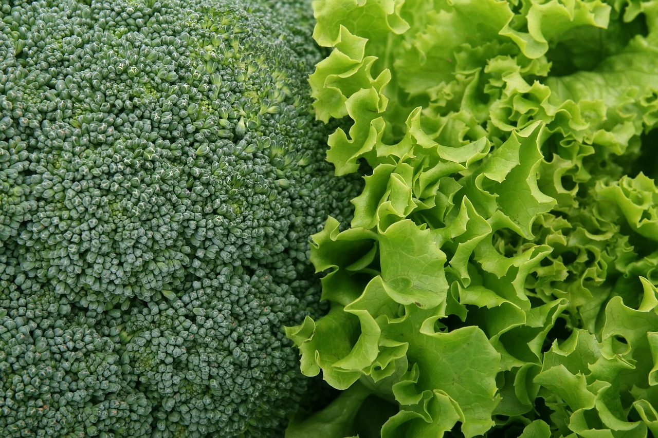 broccoli food close up