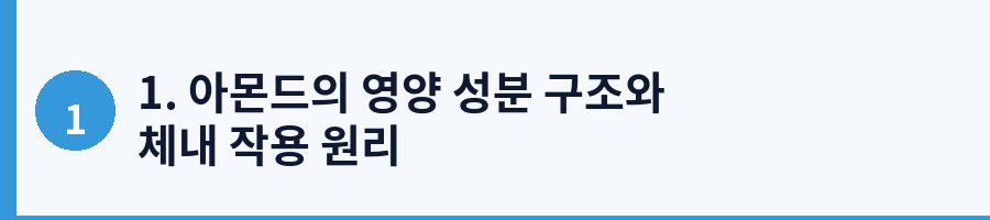 1. 아몬드의 영양 성분 구조와 체내 작용 원리