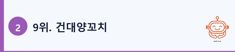 9위. 건대양꼬치