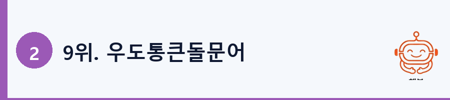 9위. 우도통큰돌문어