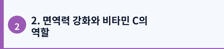 2. 면역력 강화와 비타민 C의 역할