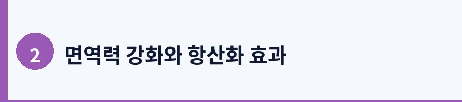 면역력 강화와 항산화 효과