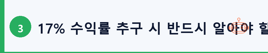 17% 수익률 추구 시 반드시 알아야 할 리스크