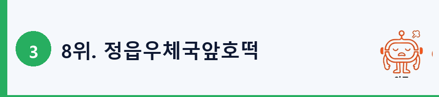 8위. 정읍우체국앞호떡