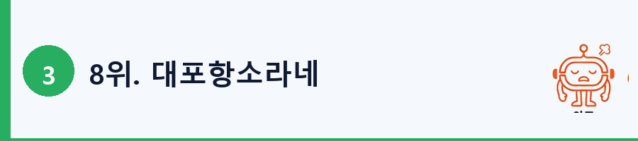 8위. 대포항소라네