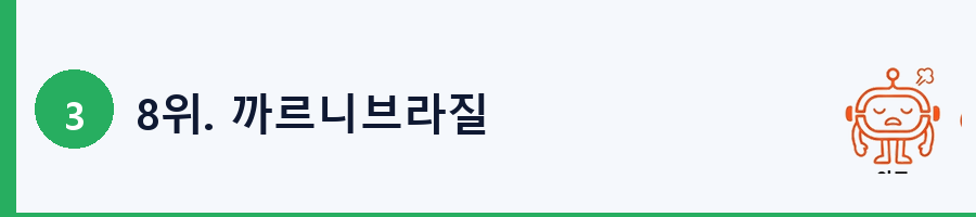 8위. 까르니브라질
