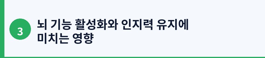 뇌 기능 활성화와 인지력 유지에 미치는 영향
