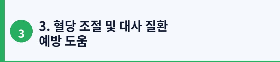 3. 혈당 조절 및 대사 질환 예방 도움