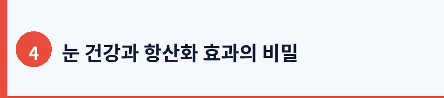 눈 건강과 항산화 효과의 비밀