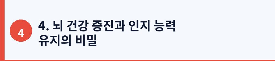 4. 뇌 건강 증진과 인지 능력 유지의 비밀