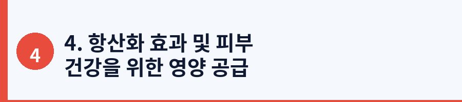 4. 항산화 효과 및 피부 건강을 위한 영양 공급