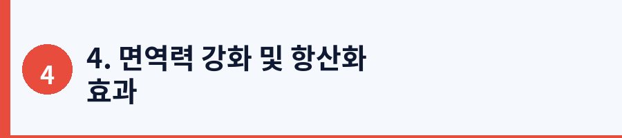 4. 면역력 강화 및 항산화 효과