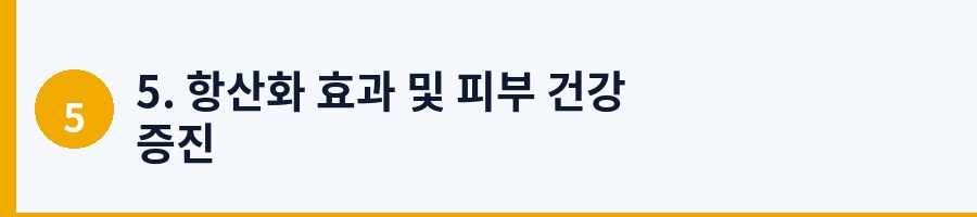 5. 항산화 효과 및 피부 건강 증진