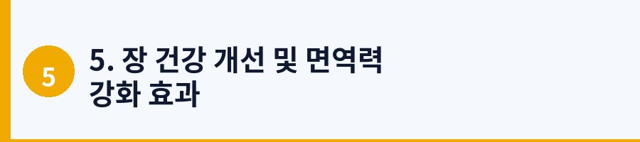 5. 장 건강 개선 및 면역력 강화 효과