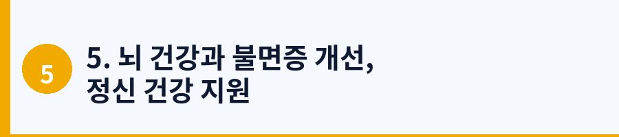 5. 뇌 건강과 불면증 개선, 정신 건강 지원