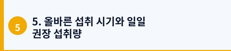 5. 올바른 섭취 시기와 일일 권장 섭취량