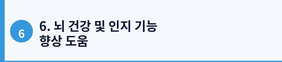 6. 뇌 건강 및 인지 기능 향상 도움