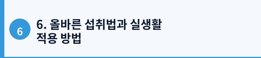 6. 올바른 섭취법과 실생활 적용 방법