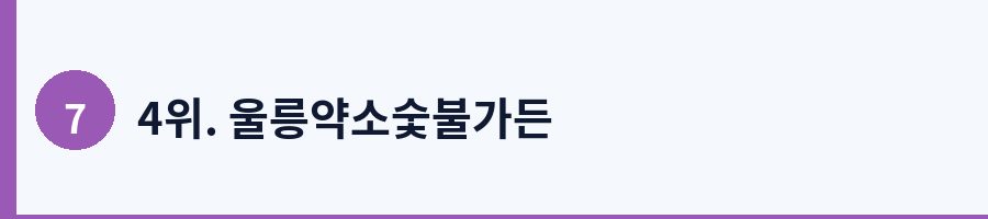 4위. 울릉약소숯불가든