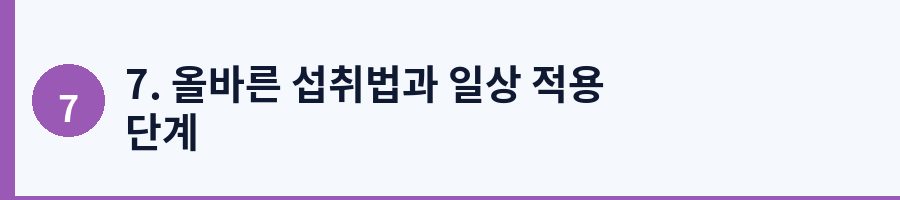 7. 올바른 섭취법과 일상 적용 단계