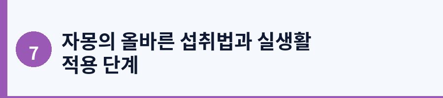 자몽의 올바른 섭취법과 실생활 적용 단계