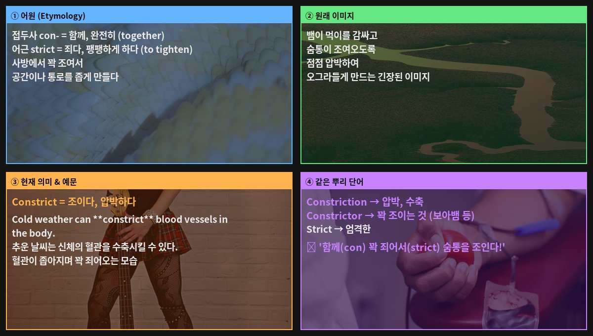 Constrict 어원 4컷