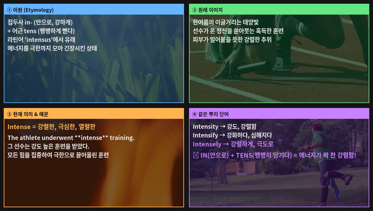 Intense 어원 4컷