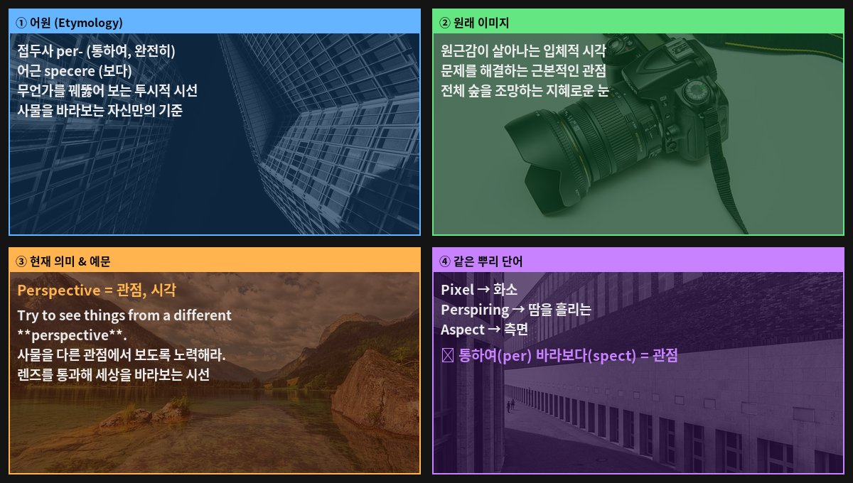 Perspective 어원 4컷