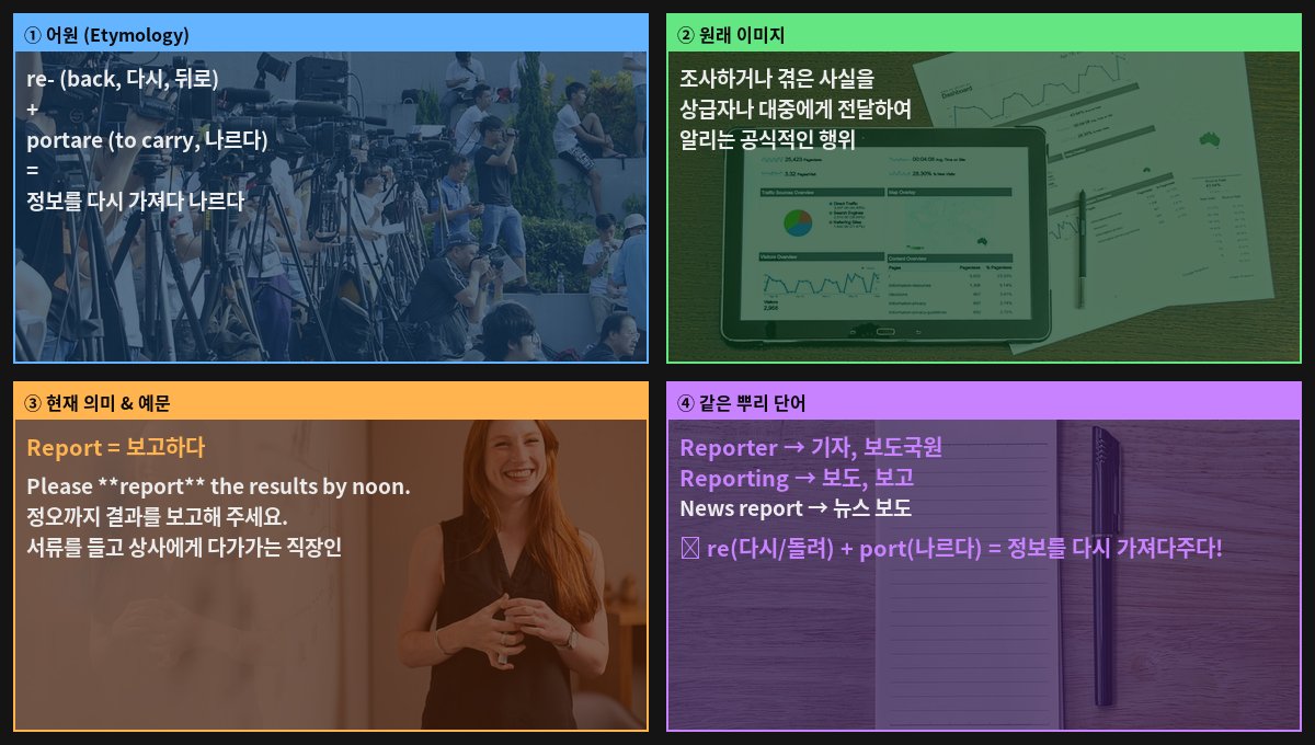 Report 어원 4컷
