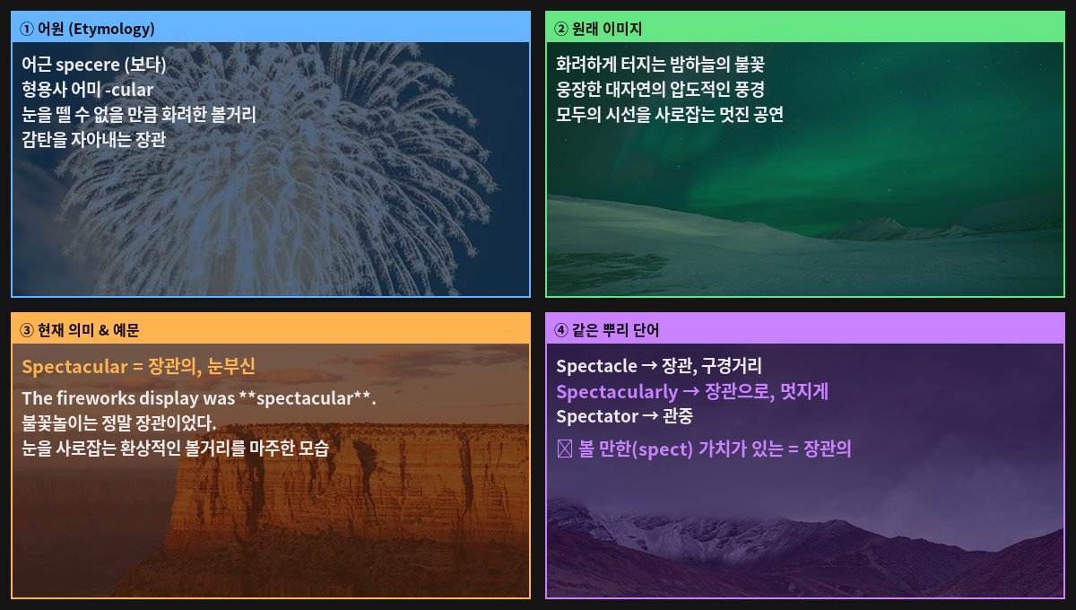Spectacular 어원 4컷