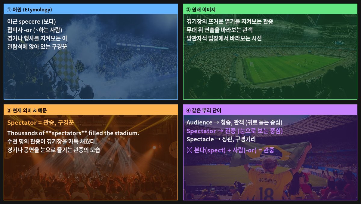 Spectator 어원 4컷
