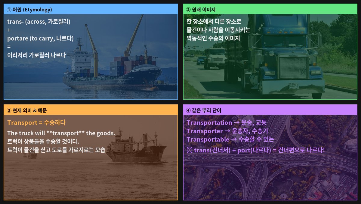 Transport 어원 4컷