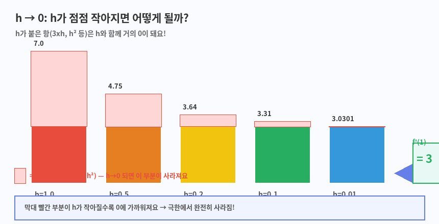h→0 시각화 — 막대그래프