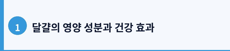 1. 달걀의 영양 성분과 기초 이해