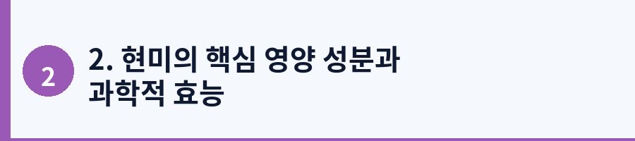 2. 현미의 핵심 영양 성분과 과학적 효능