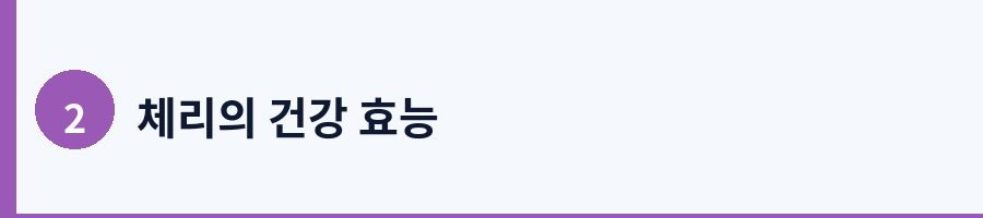 체리의 건강 효능