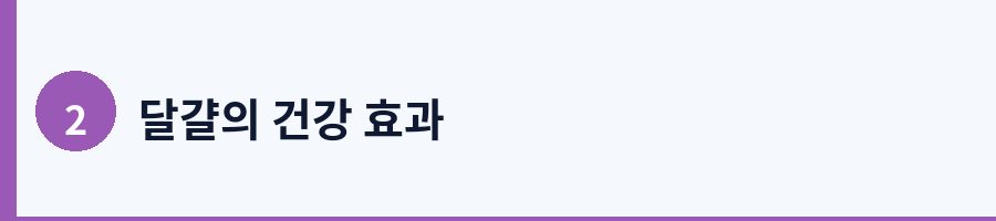2. 달걀 섭취가 가져다주는 주요 건강 효능