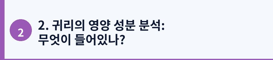 2. 귀리의 영양 성분 분석: 무엇이 들어있나?