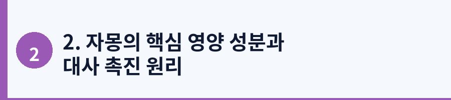 2. 자몽의 핵심 영양 성분과 대사 촉진 원리