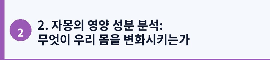 2. 자몽의 영양 성분 분석: 무엇이 우리 몸을 변화시키는가