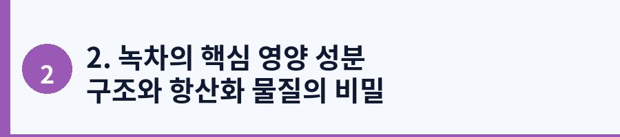 2. 녹차의 핵심 영양 성분 구조와 항산화 물질의 비밀