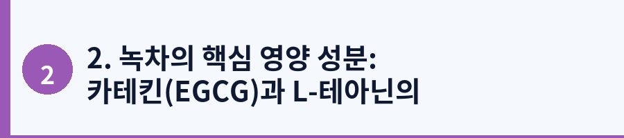 2. 녹차의 핵심 영양 성분: 카테킨(EGCG)과 L-테아닌의 비밀