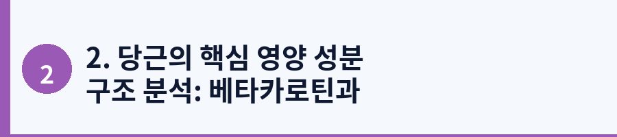 2. 당근의 핵심 영양 성분 구조 분석: 베타카로틴과 비타민의 진실