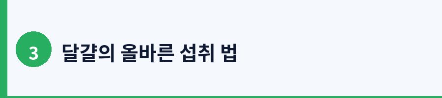 3. 달걀과 콜레스테롤 논쟁: 최신 과학적 견해