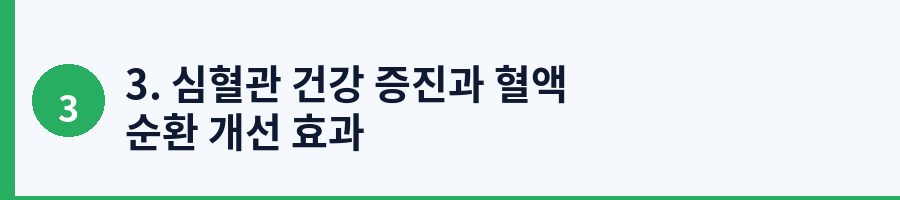3. 심혈관 건강 증진과 혈액 순환 개선 효과