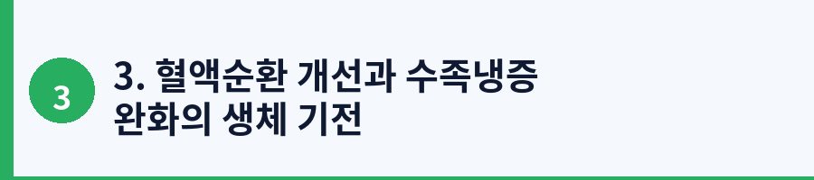 3. 혈액순환 개선과 수족냉증 완화의 생체 기전